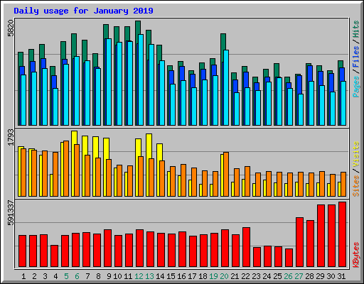 Daily usage for January 2019