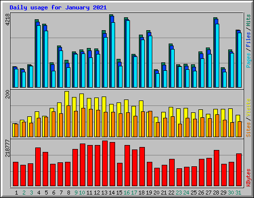 Daily usage for January 2021