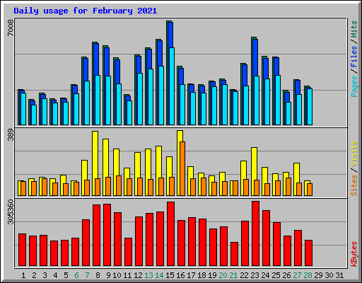 Daily usage for February 2021