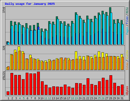 Daily usage for January 2025