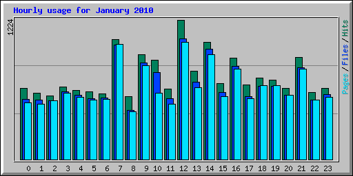 Hourly usage for January 2010