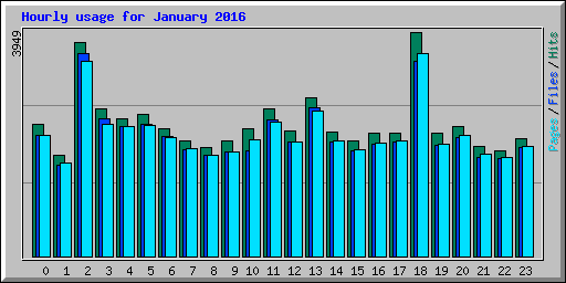 Hourly usage for January 2016