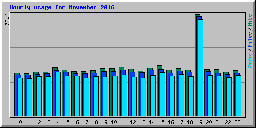 Hourly usage for November 2016