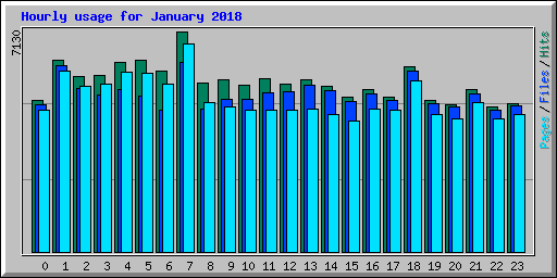 Hourly usage for January 2018