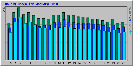 Hourly usage for January 2019