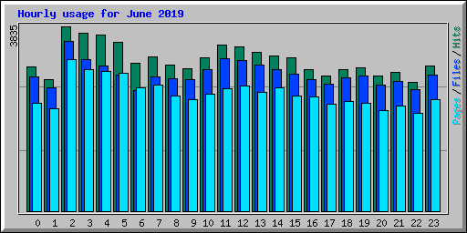 Hourly usage for June 2019