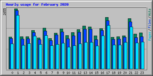 Hourly usage for February 2020