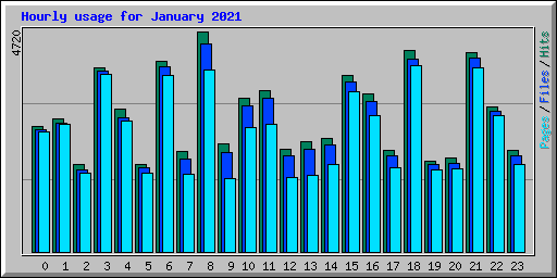 Hourly usage for January 2021