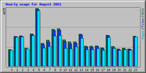 Hourly usage for August 2021