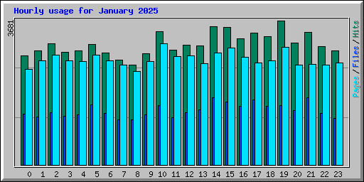 Hourly usage for January 2025