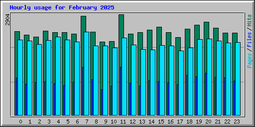 Hourly usage for February 2025