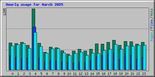 Hourly usage for March 2025